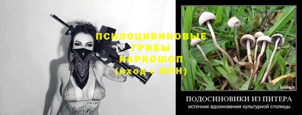 прущий лед Козельск