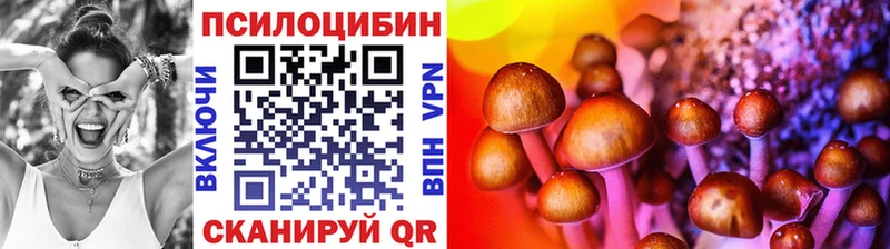 Купить Грозный Галлюциногенные грибы MAGIC MUSHROOMS